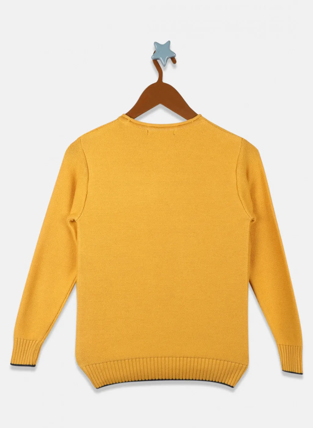 Boys Mustard Solid Pullover