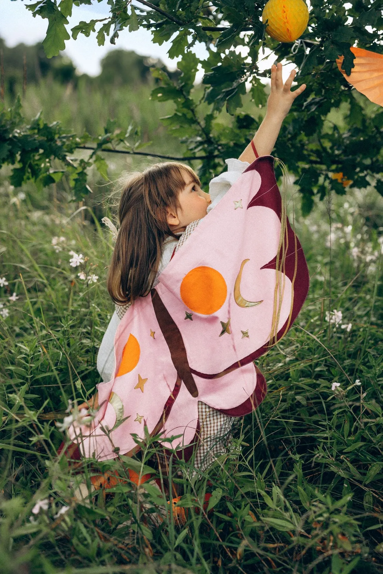 Butterfly Costume Wings Girls