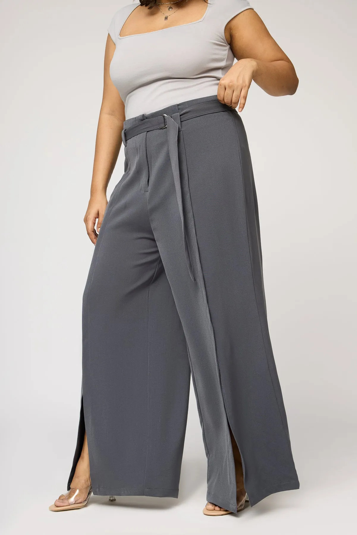 Dove Grey Curve Belted Flared Korean Pants