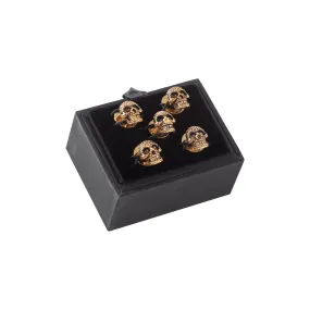 Dress Studs in Gold Plated Skulls