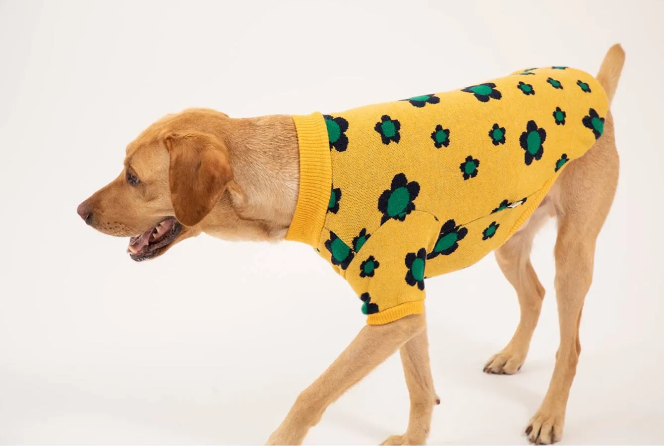 Korean Design Daisy Knitted Jumper for Dogs / Cats