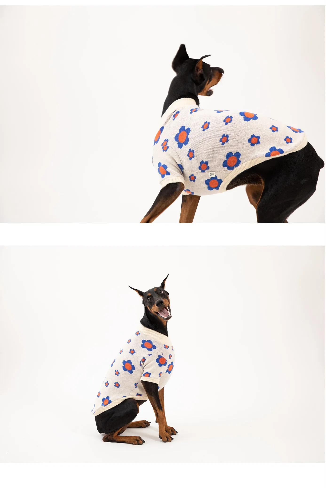 Korean Design Daisy Knitted Jumper for Dogs / Cats