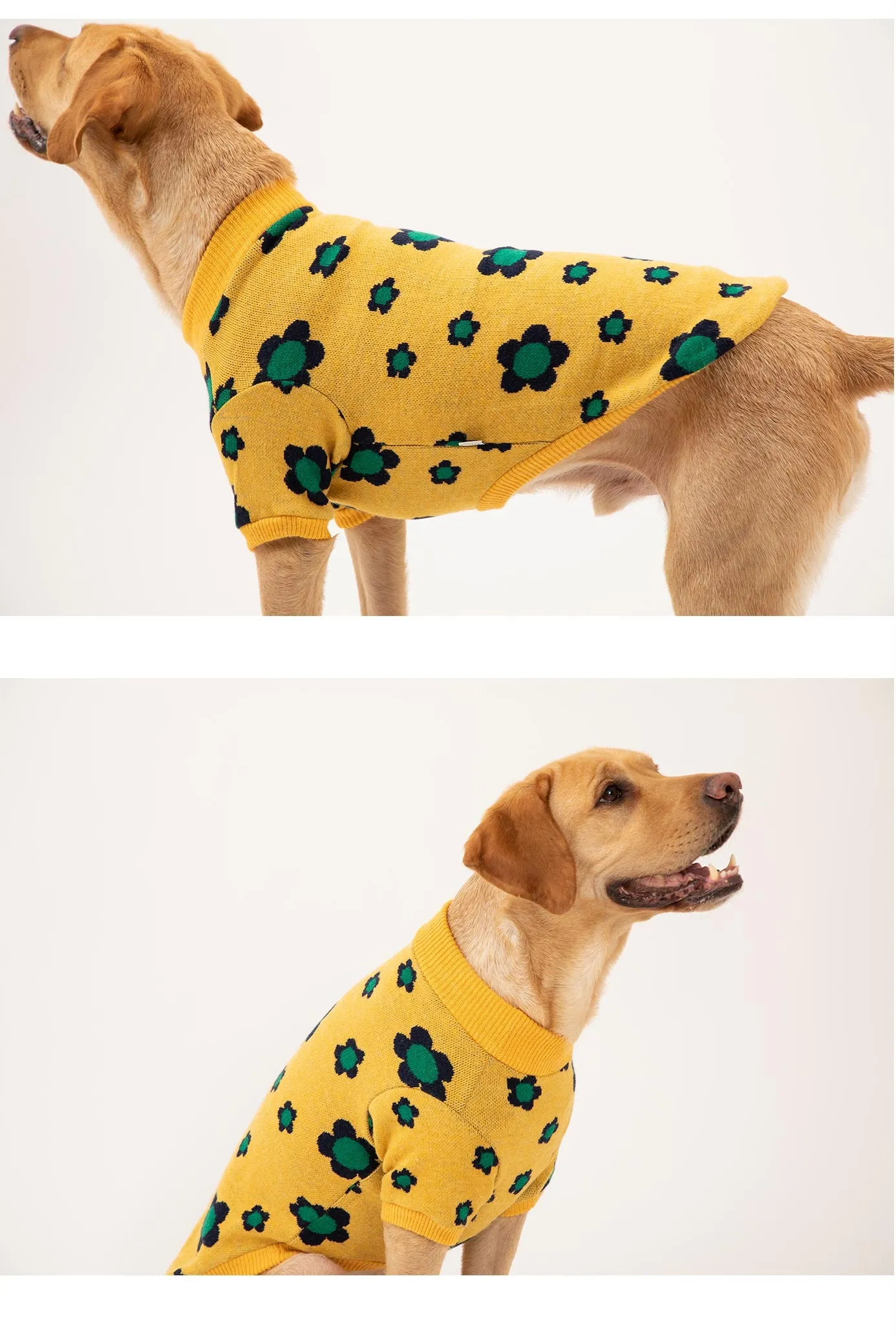 Korean Design Daisy Knitted Jumper for Dogs / Cats