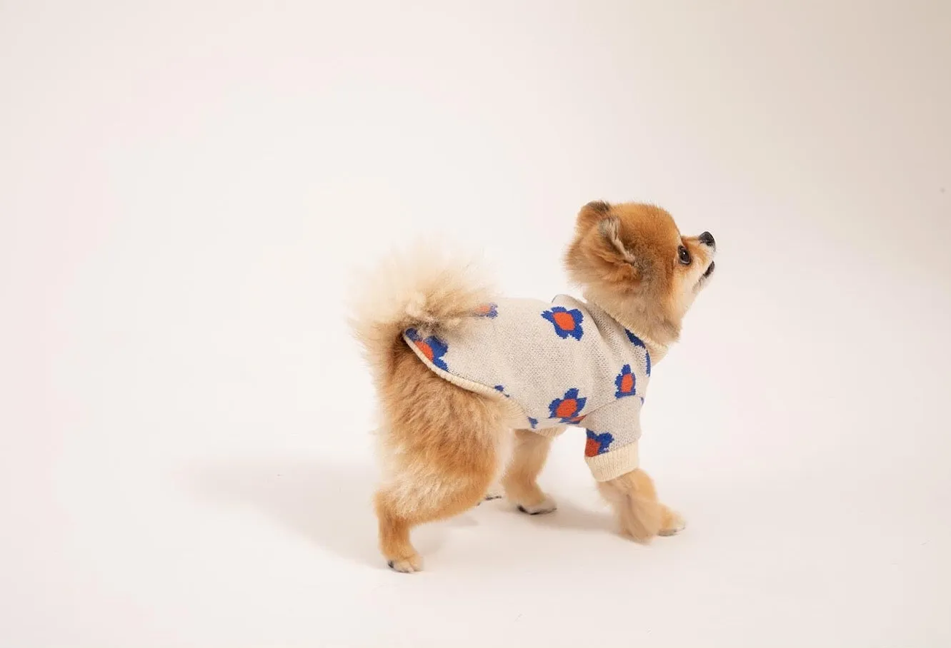 Korean Design Daisy Knitted Jumper for Dogs / Cats