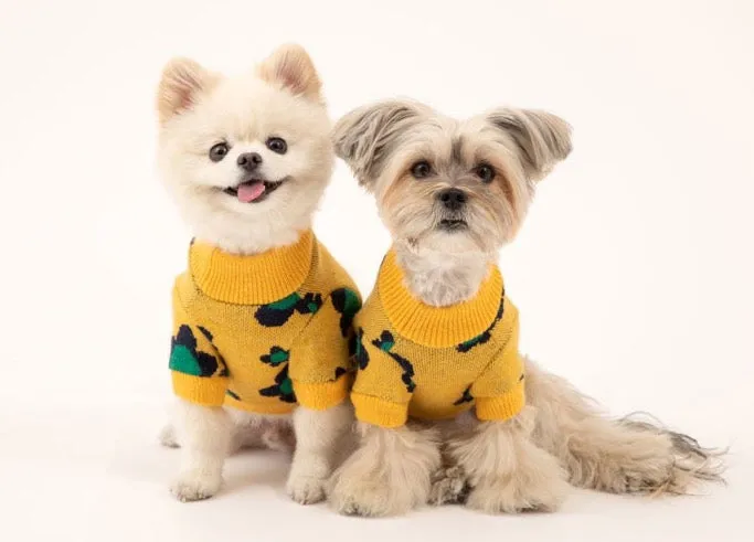 Korean Design Daisy Knitted Jumper for Dogs / Cats