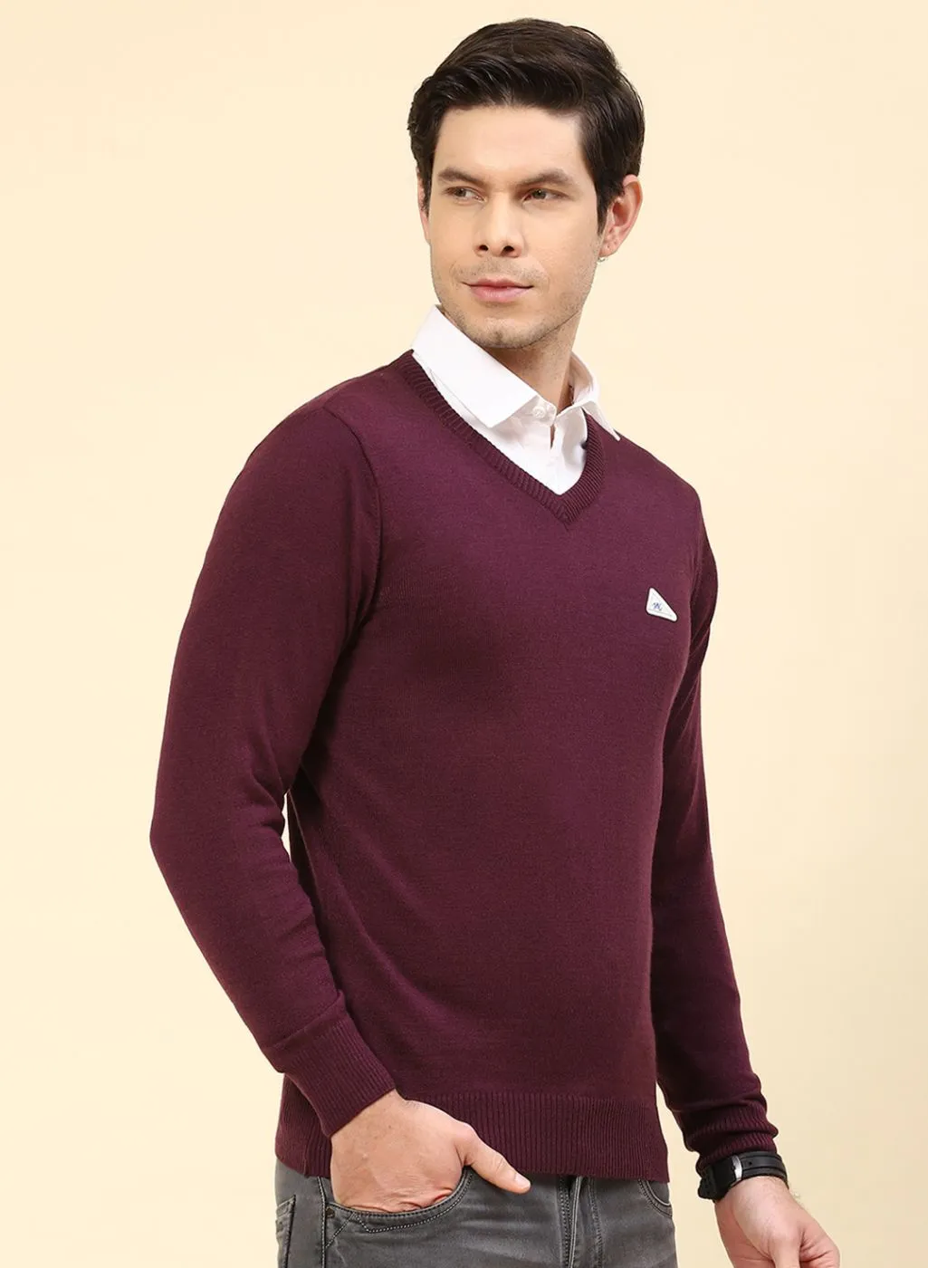 Men Purple Solid Wool blend Pullover