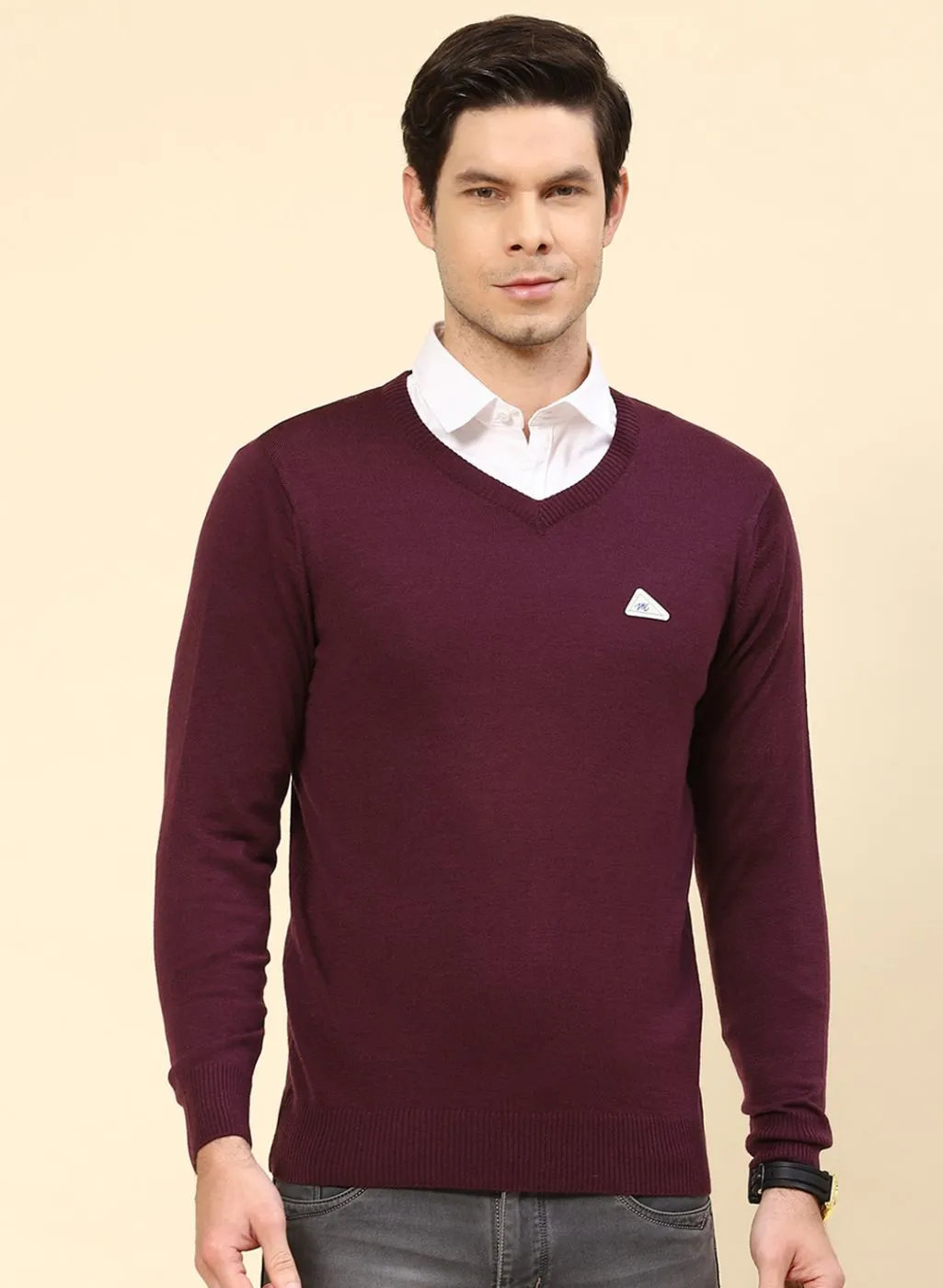 Men Purple Solid Wool blend Pullover