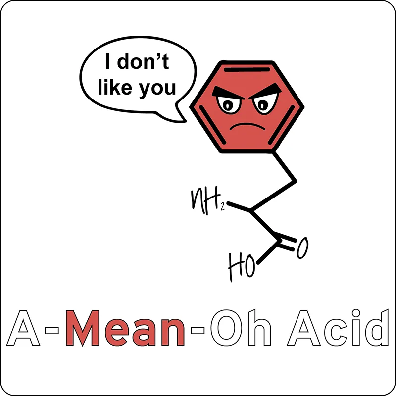 "A-Mean-Oh Acid" - Women's T-Shirt