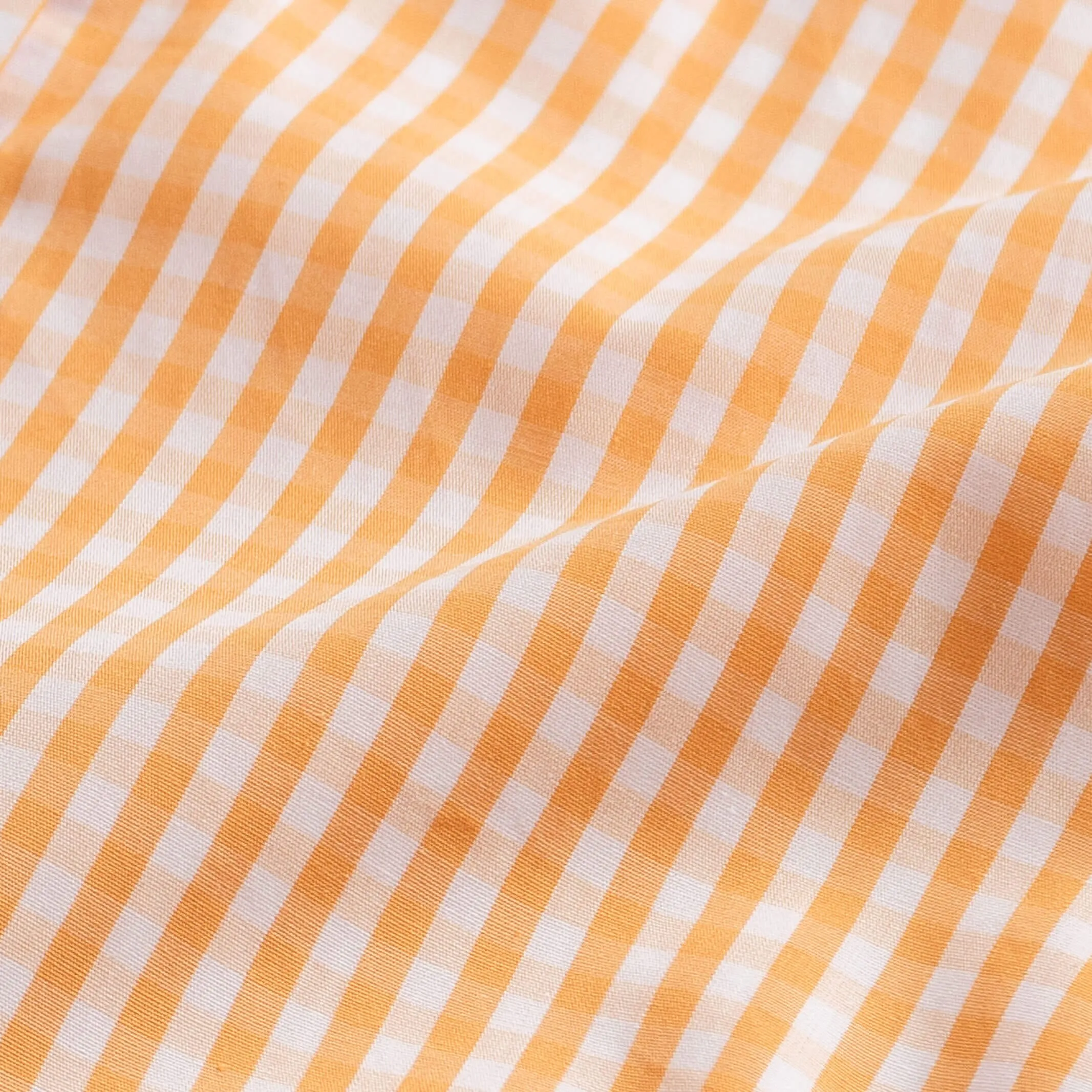 The Orange Bagley Gingham Dress Shirt