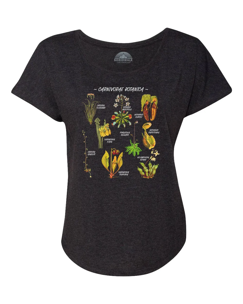 Women's Carnivorae Botanica Carnivorous Plants Botanical Chart Scoop Neck T-Shirt